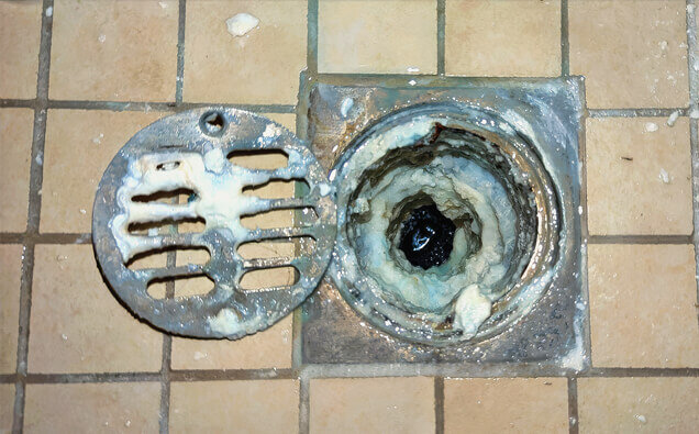 https://blockeddrainsbrentwood.com.au/uploads/2025/07/blocked-shower-drains-33151.jpg