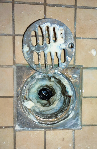 https://blockeddrainsbrentwood.com.au/uploads/2025/07/blocked-shower-drains-86331.jpg