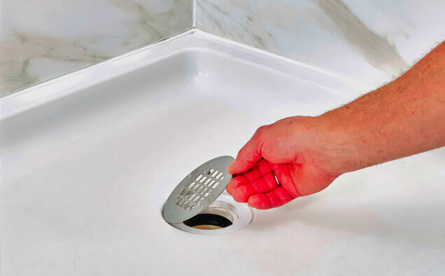 https://blockeddrainsbrentwood.com.au/uploads/2025/07/blocked-shower-drains-90992.jpg