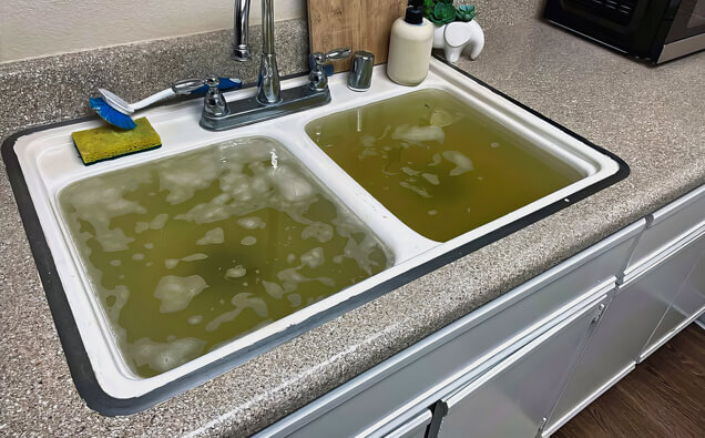 https://blockeddrainsbrentwood.com.au/uploads/2025/07/blocked-sink-36283.jpg