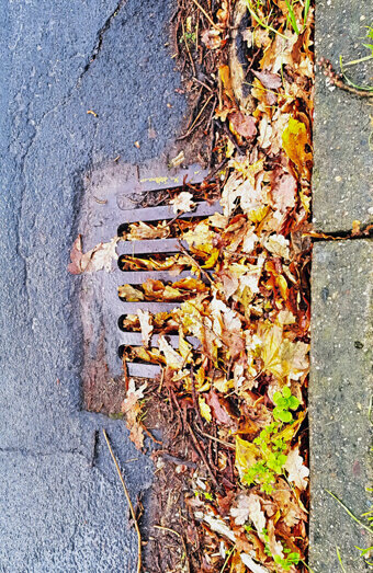 https://blockeddrainsbrentwood.com.au/uploads/2025/07/stormwater-drains-48051.jpg